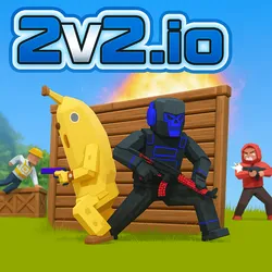 2V2 IO